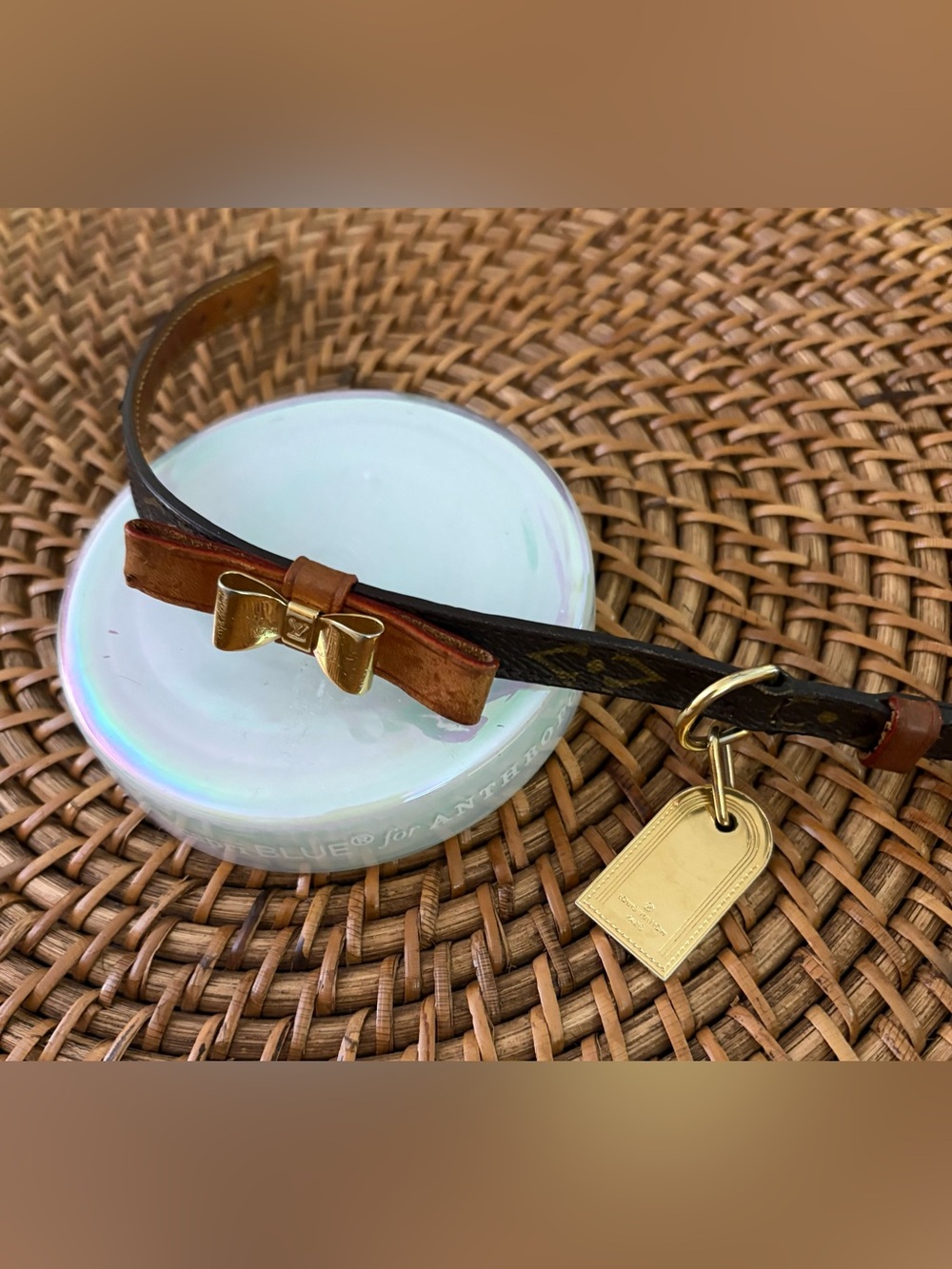 Louis Vuitton Small Pet Collar - Baxter